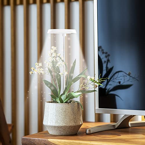 GYTF Halo Plant Grow Light, 6000K White LED Full Spectrum Growing ...