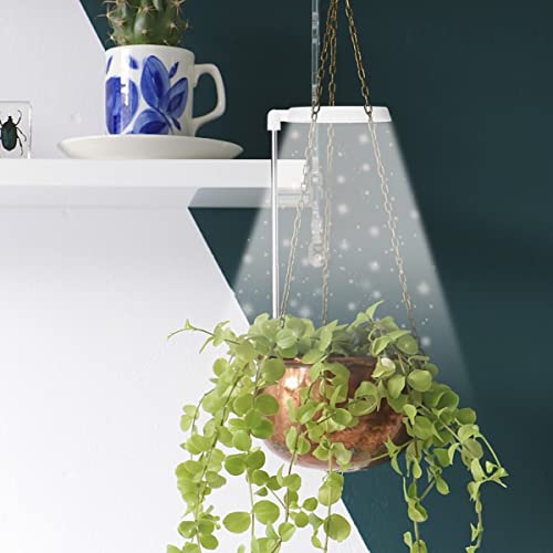 GYTF Halo Plant Grow Light, 6000K White LED Full Spectrum Growing ...