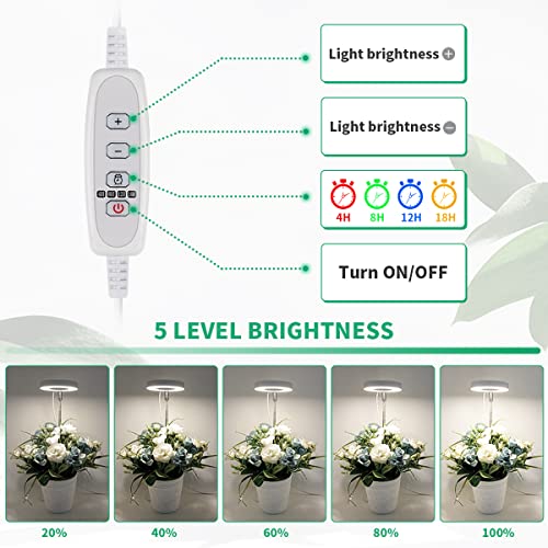 GYTF Halo Plant Grow Light, 6000K White LED Full Spectrum Growing ...