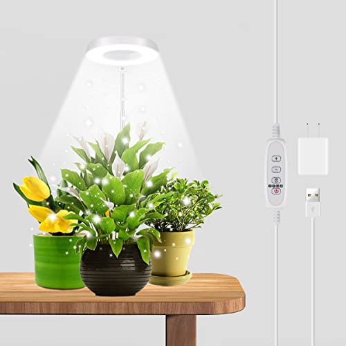 GYTF Halo Plant Grow Light, 6000K White LED Full Spectrum Growing ...