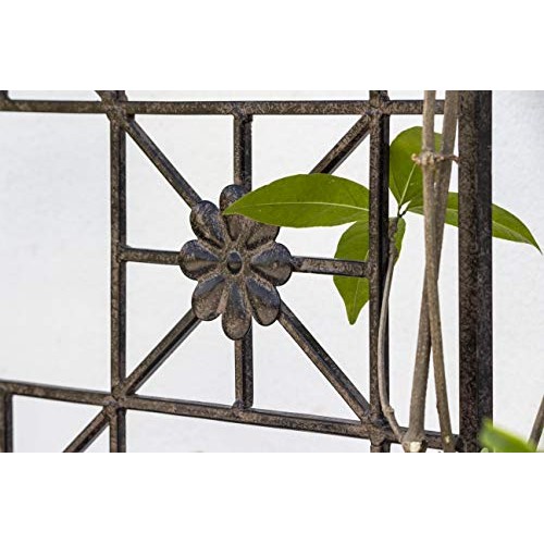 H Potter 5.5 Foot Tall Garden Flower Trellis Wrought Iron Heavy Sc...