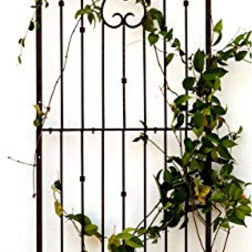 H Potter Outdoor Metal Wall Art Decor or Trellis for Climbing Plan...