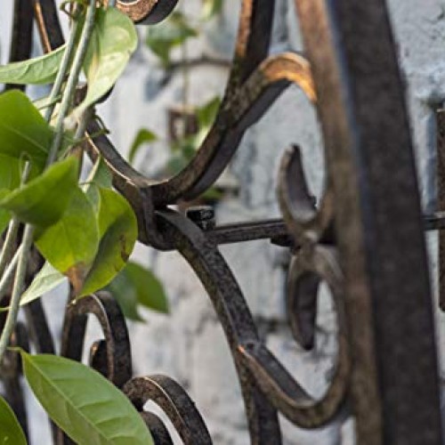 H Potter Outdoor Metal Wall Art Decor or Trellis for Climbing Plan...