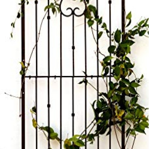 H Potter Outdoor Metal Wall Art Decor or Trellis for Climbing Plan...