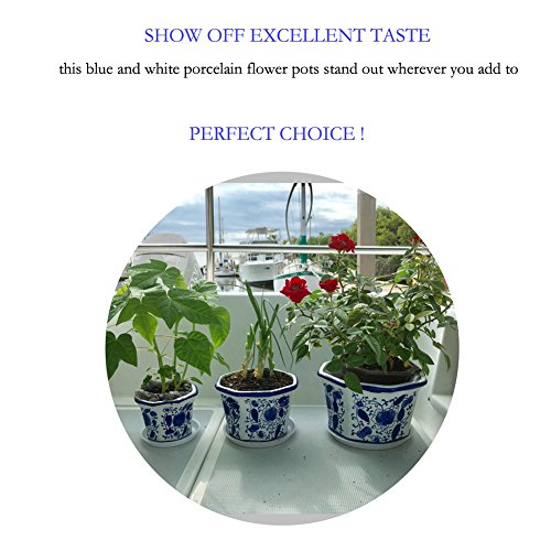Ceramic Flower Pots, White Ceramic Planter Plant Pots Indoor Decor...