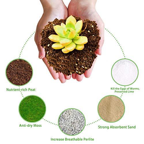 Aloe Vera Soil Mix Hand Blended- Professional Cactus and Succulent...