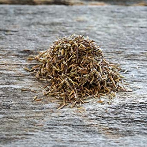 Hale Habitat & Seed, Native Grass Refuge, Wildlife Seed Mix, 1/4 A...