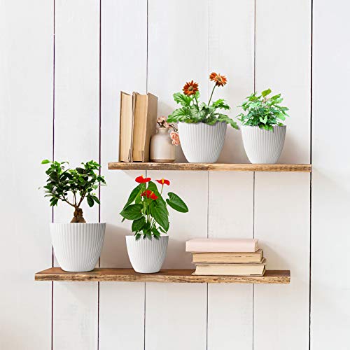 9 Pack Planters Indoor Plants Pots, Haliluya Heavy Duty 6 Pack x 7...