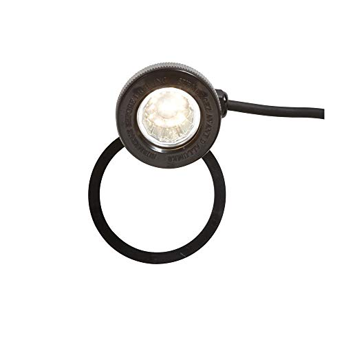 LED Low Voltage Pond Light