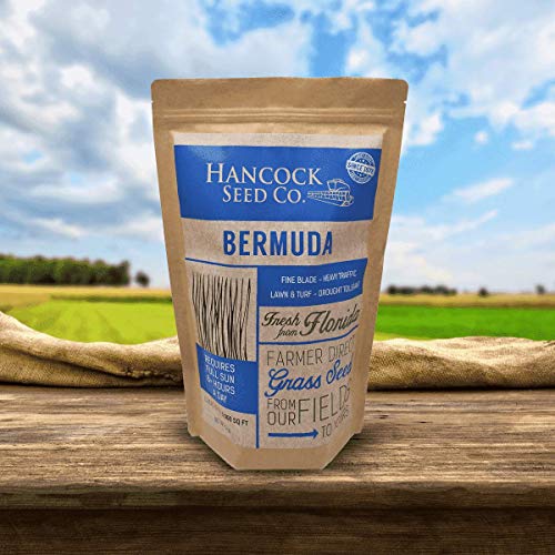 Hancocks Bermuda Grass Seed Mix
