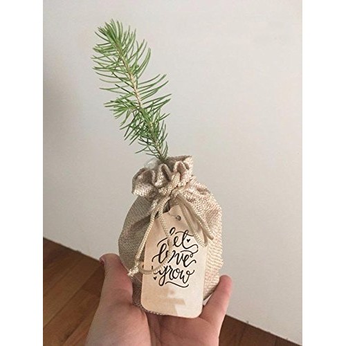 100pcs Burlap Bags with Drawstring, Burlap Gift Bag Jewelry Pouch ...