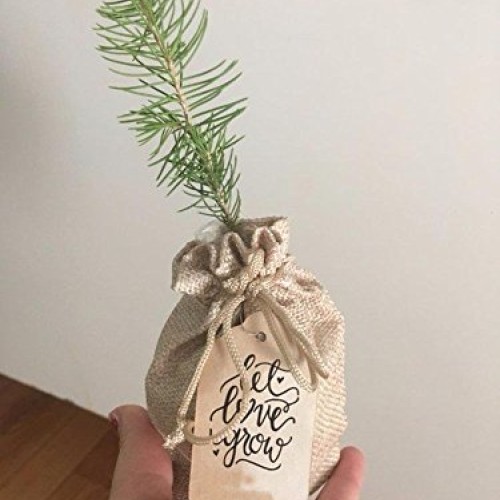 100pcs Burlap Bags with Drawstring, Burlap Gift Bag Jewelry Pouch ...