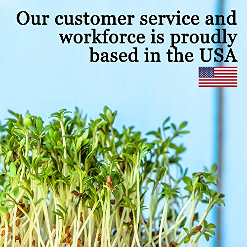 100-Pack 1020 Garden Growing Trays with Drain Holes - 10 x 20 Pl...