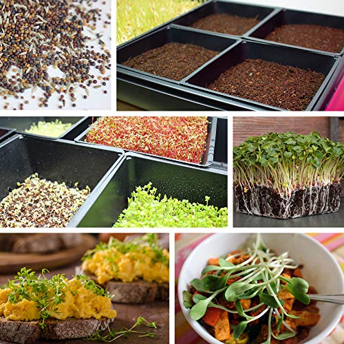 100-Pack 1020 Garden Growing Trays with Drain Holes - 10 x 20 Pl...