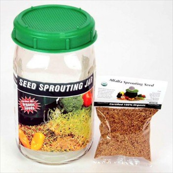 3 Jar Sprouting Starter Kit: Three 1 Quart Sprouting Jars, Instruc...