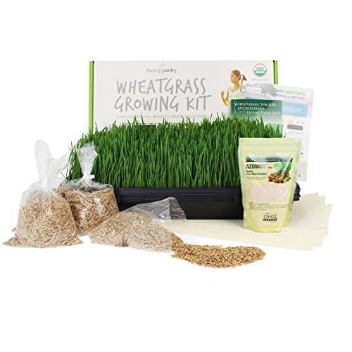 Handy Pantry Wheatgrass Growing Kit - Hydroponic - Certified Organ...