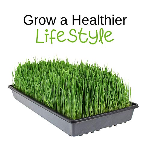 Handy Pantry Wheatgrass Growing Kit - Hydroponic - Certified Organ...