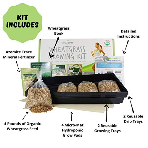 Handy Pantry Wheatgrass Growing Kit - Hydroponic - Certified Organ...