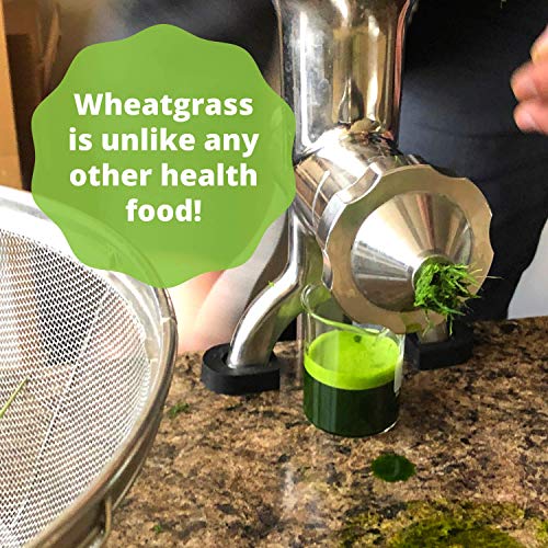 Handy Pantry Wheatgrass Growing Kit - Hydroponic - Certified Organ...