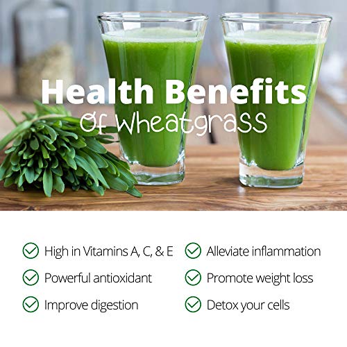 Handy Pantry Wheatgrass Growing Kit - Hydroponic - Certified Organ...