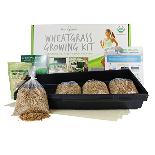 Handy Pantry Wheatgrass Growing Kit - Hydroponic - Certified Organ...