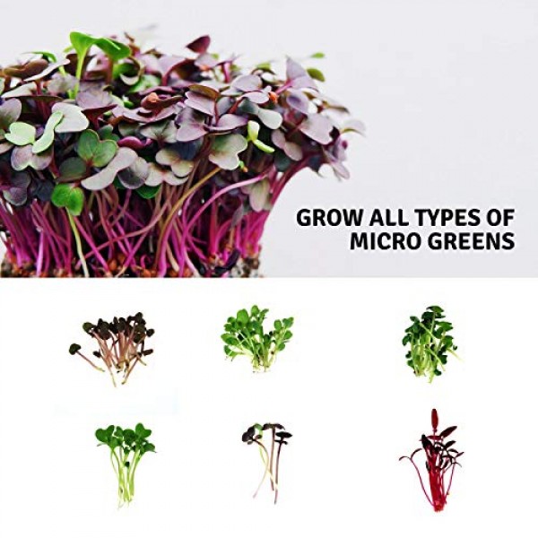 Micro-Mat Minis Hydroponic Grow Pads - For Organic Production - Pl...