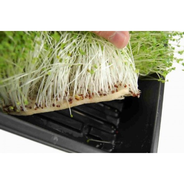 Micro-Mats Hydroponic Grow Pads - For Organic Production - 10 Pack...