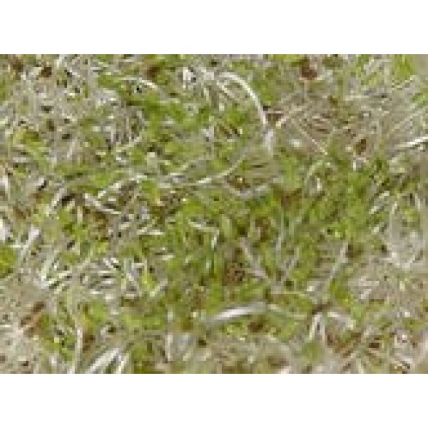 Organic Alfalfa Sprouting Seed - 4 Oz -Handy Pantry Brand - High S...