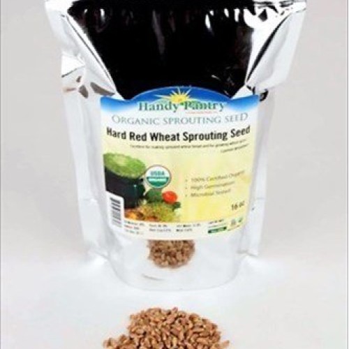 Organic Hard Red Wheat Seed: 1 Lb - Handy Pantry Brand - Grow Whea...