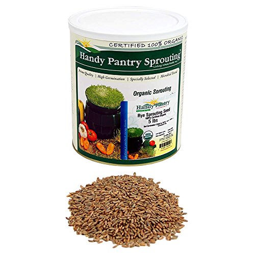 Organic Rye Grain Seeds - 5 Lb Re-Sealable Can - Rye Seed / Grains...
