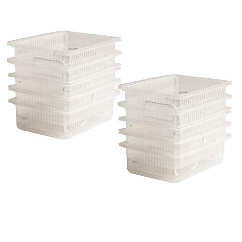 Re-usable Self-Watering Microgreens Growing Tray - 10 Trays - 7 x...