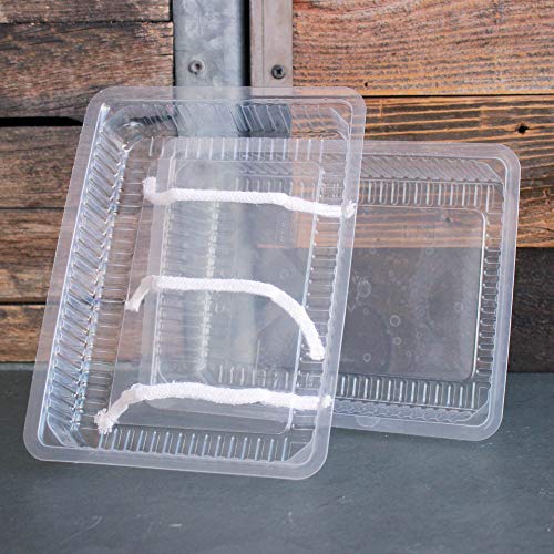 Re-usable Self-Watering Microgreens Growing Tray - 10 Trays - 7 x...