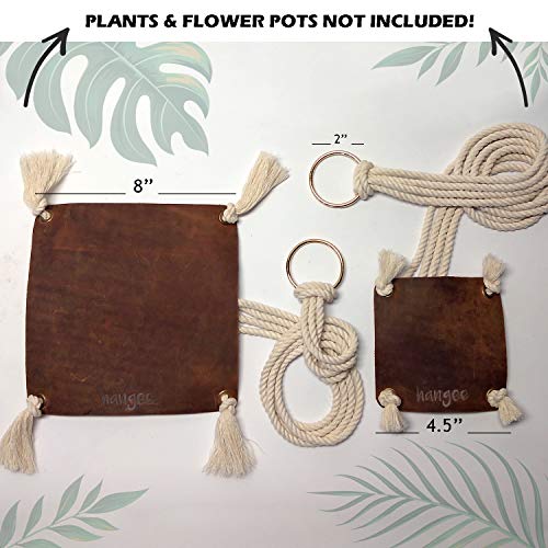 hangee Hanging Planter - 2 PCS Genuine Leather Plant Hangers Indoo...