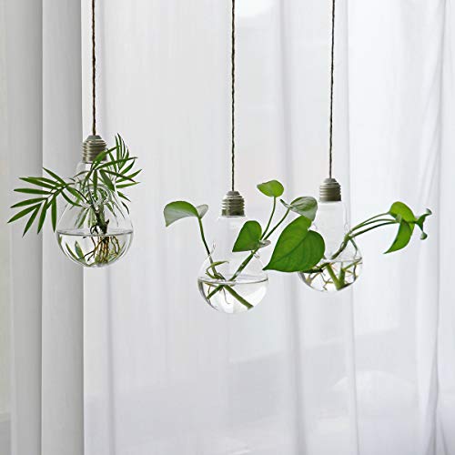 Glass Hanging Planters hydroponic vase , Terrarium Containers Flow...