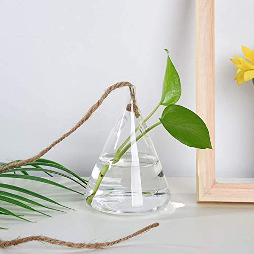 Glass Hanging Planters hydroponic vase , Terrarium Containers Flow...