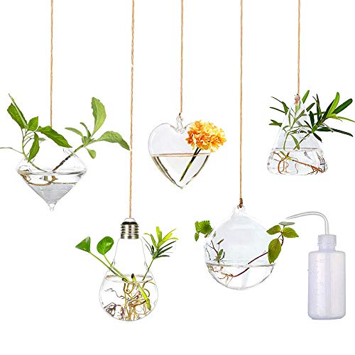 Glass Hanging Planters hydroponic vase , Terrarium Containers Flow...