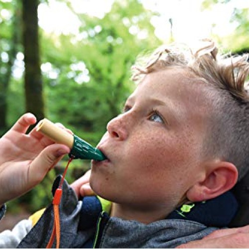 Hape Nature Detective Set| Bamboo & Plant Plastic Detective Playse...