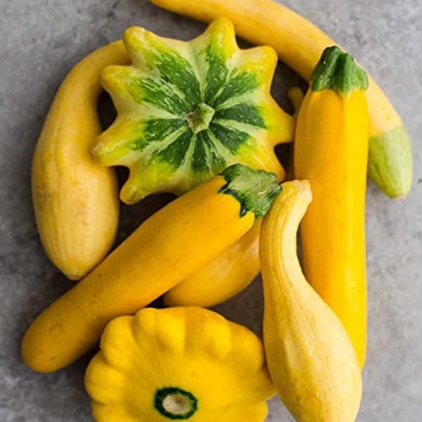 50+ Zucchini and Squash Mix Seeds ORGANICALLY Grown 12 Varieties N...