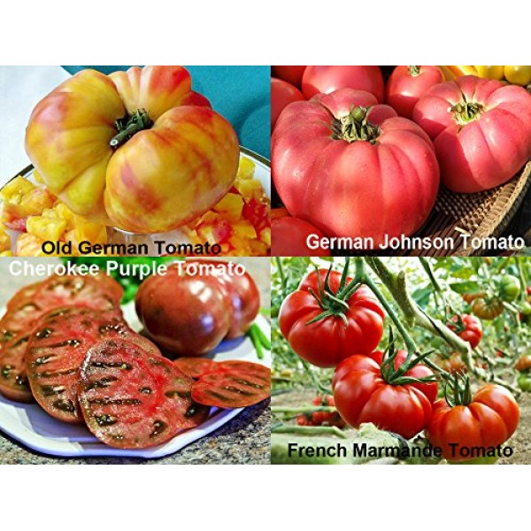 Mixed Seeds! 30 Giant Tomato Seeds, Mix of 19 Varieties, Heirloom ...