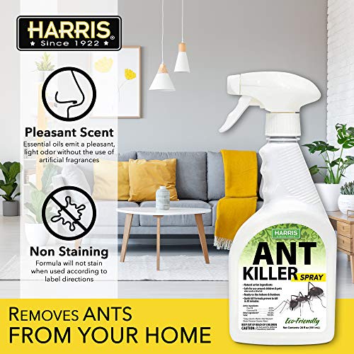 HARRIS New Ant Spray, Plant Oil Based Quick Ant Killer Formula for...