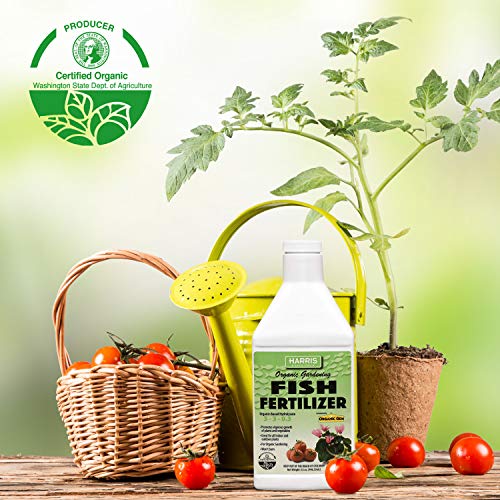 Harris Organic Plant and Lawn Fertilizer, Hydrolyzed Liquid Fish F...
