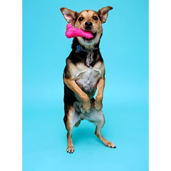 HARTZ Dura Play Soft Dog Bone Toy, Assorted Colors, 1 Ea, for Medi...
