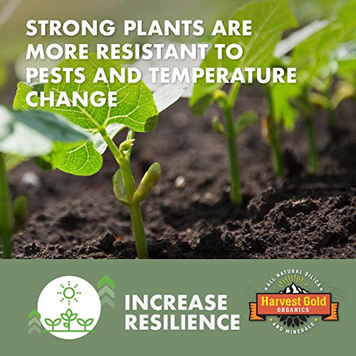 Harvest Gold Organics Premium Soil Conditioner, Certified for Orga...