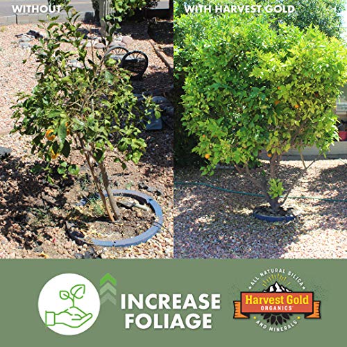 Harvest Gold Organics Premium Soil Conditioner, Certified for Orga...