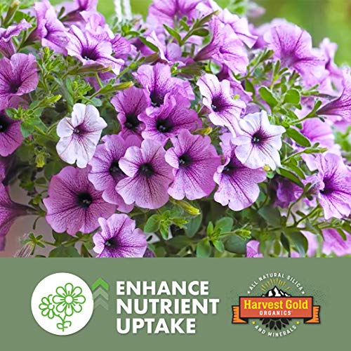 Harvest Gold Organics Premium Soil Conditioner, Certified for Orga...
