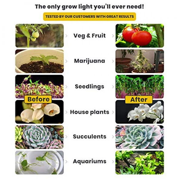 100W LED Grow Light Bulb - Pure White Full Spectrum Plant Light fo...