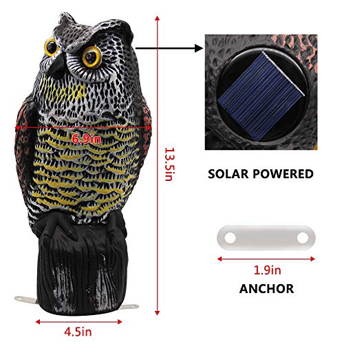 Hausse Solar Powered Fake Owl Decoy Scarecrow Decoy with Flashing ...