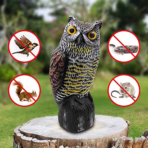 Hausse Solar Powered Fake Owl Decoy Scarecrow Decoy with Flashing ...