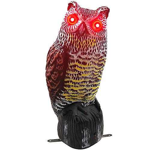 Hausse Solar Powered Fake Owl Decoy Scarecrow Decoy with Flashing ...