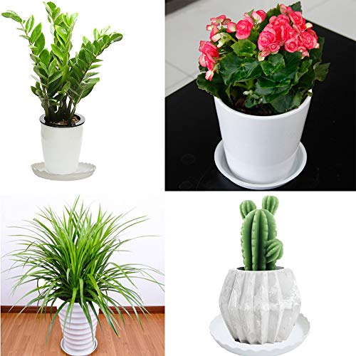 Brainver 6 Packs Wave Plant Saucer - Plastic Flower Pot Drip Trays...